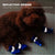 4pcs Anti-Skid Puppy Shoes, Soft-Soled Waterproof Pet Protection for Winter