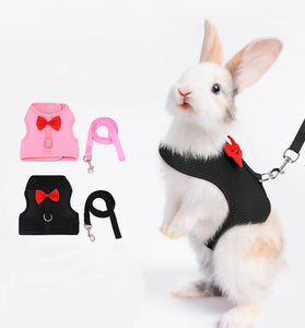 Adjustable Bunny Harness and Leash Set - Soft and Comfortable for Small Pets