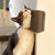 Cat Self Groomer with Catnip & Massage Comb