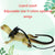 Adjustable Bearded Dragon Harness with Leash and Wing Decoration