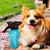 Portable Dog Water Bottle & Drinking Cup for Pets