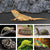 Reptile Terrarium Liner - Cuttable Non-Adhesive Waterproof Bedding for Lizard, Snake & Turtle