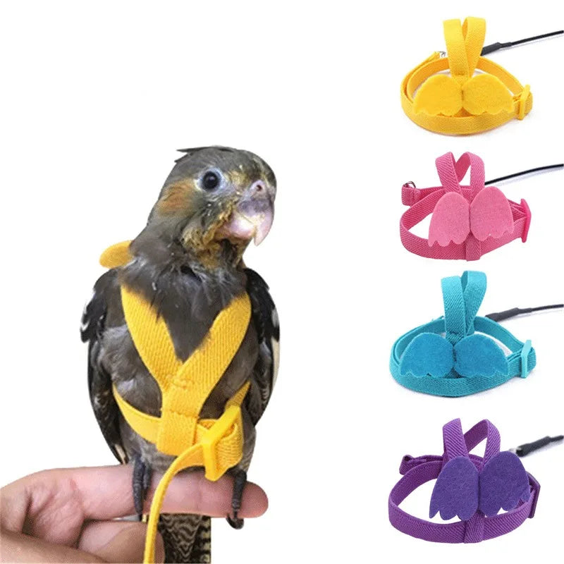Adjustable Parrot Harness & Flying Leash for Outdoor Training
