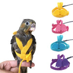 Adjustable Parrot Harness & Flying Leash for Outdoor Training