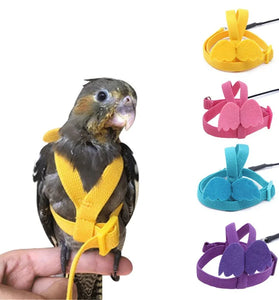 Adjustable Parrot Harness & Flying Leash for Outdoor Training