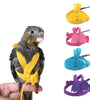 Adjustable Parrot Harness & Flying Leash for Outdoor Training