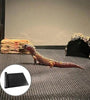 Reptile Carpet - Safe Terrarium Bedding for Snakes, Geckos & Lizards