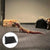 Reptile Carpet - Safe Terrarium Bedding for Snakes, Geckos & Lizards