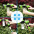 Pet Shower Nozzle & Foam Soap Sprayer