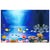 3D Background Aquarium Sticker (Double-Sided Ocean Plants Decoration)