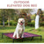 Elevated Waterproof Dog Bed, Off-Floor Design, Easy to Clean, Indoor/Outdoor Use, XL, Grey