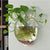 Wall-Mounted Acrylic Fish Bowl - Transparent Hanging Fish Tank & Plant Pot Planter