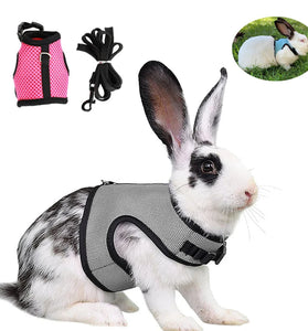Mesh Breathable Rabbit Harness and Leash Set for Small Pets