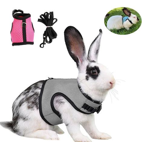 Mesh Breathable Rabbit Harness and Leash Set for Small Pets