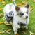 Portable Dog Treat Training Pouch with Waste Bag Dispenser