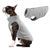 Winter Fleece Dog Coat & Jacket - Warm Vest with D-Ring for Chihuahua, French Bulldog, Yorkie & Puppies