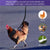 Fashion Chicken & Duck Vest Harness with Matching Collar & Lead