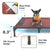 Elevated Waterproof Dog Bed, Off-Floor Design, Easy to Clean, Indoor/Outdoor Use, XL, Grey