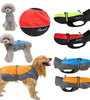 Dog Raincoat - Waterproof Reflective Coat for Small to Large Dogs & Cats (S-9XL)