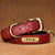 Customized Leather Dog Collar – Soft Padded with Engraved ID Nameplate for All Dog Sizes