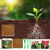 Reptile Coconut Fiber Substrate - Pressed Coir Bedding for Tortoises, Lizards & Terrariums