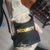 Soft-Padded Lizard Harness & Leash for Bearded Dragons and Small Reptiles