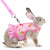 Rabbit Harness with Leash – Adjustable Mesh Vest Skirt for Bunny, Guinea Pig, and Small Pets
