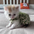 Summer Cotton Sphynx Cat Suspender Skirt, Love Flower Pet Princess Dress for Cats