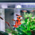 2-Pack Floating Diver Aquarium Ornaments (Orange & Blue)