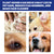 Pet Anti-Flea Spray – Itch Relief, Tick Control & Antiparasite Treatment for Dogs & Cats