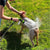 Pet Shower Nozzle & Foam Soap Sprayer