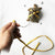 Pet Harness and Reptile Leash for Turtles and Lizards