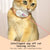 Rechargeable Motion-Activated Cat Laser Toy - Interactive Teaser for Cats & Dogs