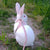 Newest Cute Rabbit Harness & Leash Set - Outdoor Walking Pet Supplies