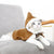 Funny Cat Christmas Costume – Santa Cape with Hat & Scarf