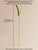 Kimpets Cat & Dog Teasing Stick - Feather Tail with Long Pole