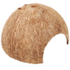 Coconut Hideout House for Reptiles & Hermit Crabs