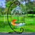 Hanging Glass Fish Tank - Round/Rectangle Aquarium with Rack Holder