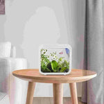 Creative LED Aquarium Decoration - Small Betta & Goldfish Tank with LED Light