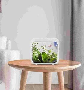 Creative LED Aquarium Decoration - Small Betta & Goldfish Tank with LED Light