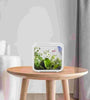 Creative LED Aquarium Decoration - Small Betta & Goldfish Tank with LED Light