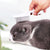 Puppy Joy Stainless Steel Pet Shedding & Flea Comb