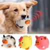 Pet Dog Vocal Toy - Interactive Sound Play