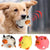 Pet Dog Vocal Toy - Interactive Sound Play