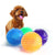 Squeaky Pet Dog & Cat Toy - TPR Chew Ball for Teeth Cleaning & Training