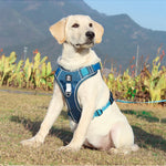 Reflective Dog Harness – Adjustable Oxford Cloth Vest for Medium & Large Dogs
