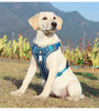 Reflective Dog Harness – Adjustable Oxford Cloth Vest for Medium & Large Dogs
