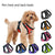 Adjustable Cat & Dog Harness – Mesh Vest with Leash for Small & Medium Pets