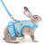 Rabbit Harness with Leash – Adjustable Mesh Vest Skirt for Bunny, Guinea Pig, and Small Pets