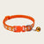 Pet Collar with Bell & Paw Print Pattern